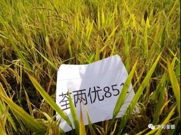 微信圖片_20200721102426.jpg 微信圖片_20200721102426.jpg